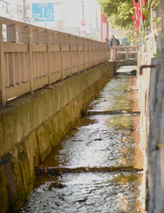 静岡浅間神社を囲む水路