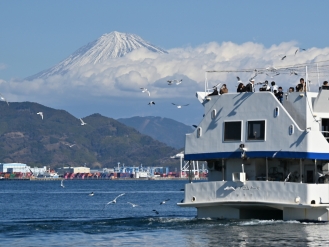 富士山清水みなとクルーズ船のデッキからユリカモメにえさを与える観光客