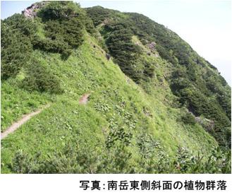 南岳東側斜面の植物群落の写真