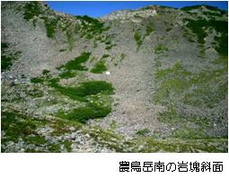 農島岳南の岩塊斜面の写真