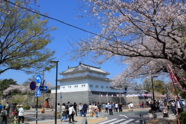 快晴の空と駿府城と桜