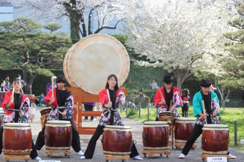 桜の下で和太鼓のパフォーマンス