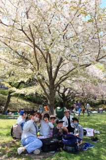 満開の桜の下で記念撮影