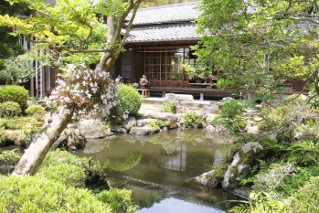 古民家鈴木邸を写した写真。和風の家屋が庭園の木々の合間から覗いている