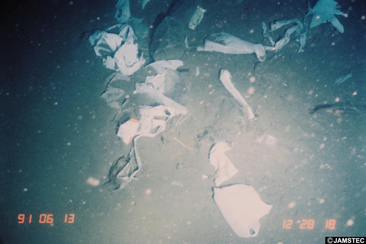 海底に沈んだレジ袋の写真